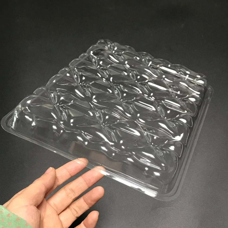 Plastic PET food container tray clear insert products packaging